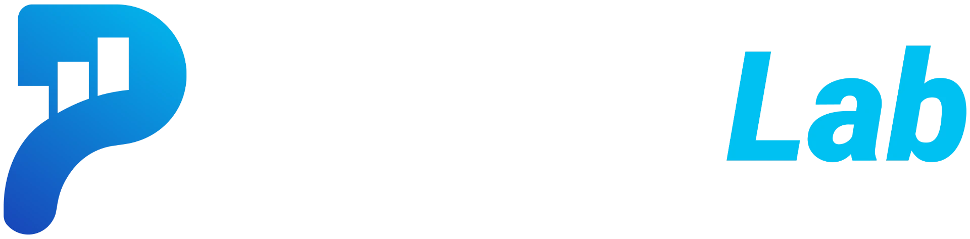 PayConLab